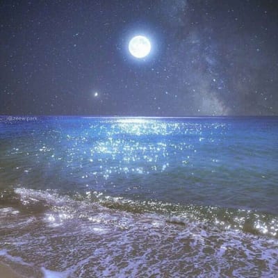 Phạm Văn Toàn avatar