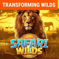 Safari Hoang Dã game thumbnail
